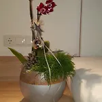 Appartement La *